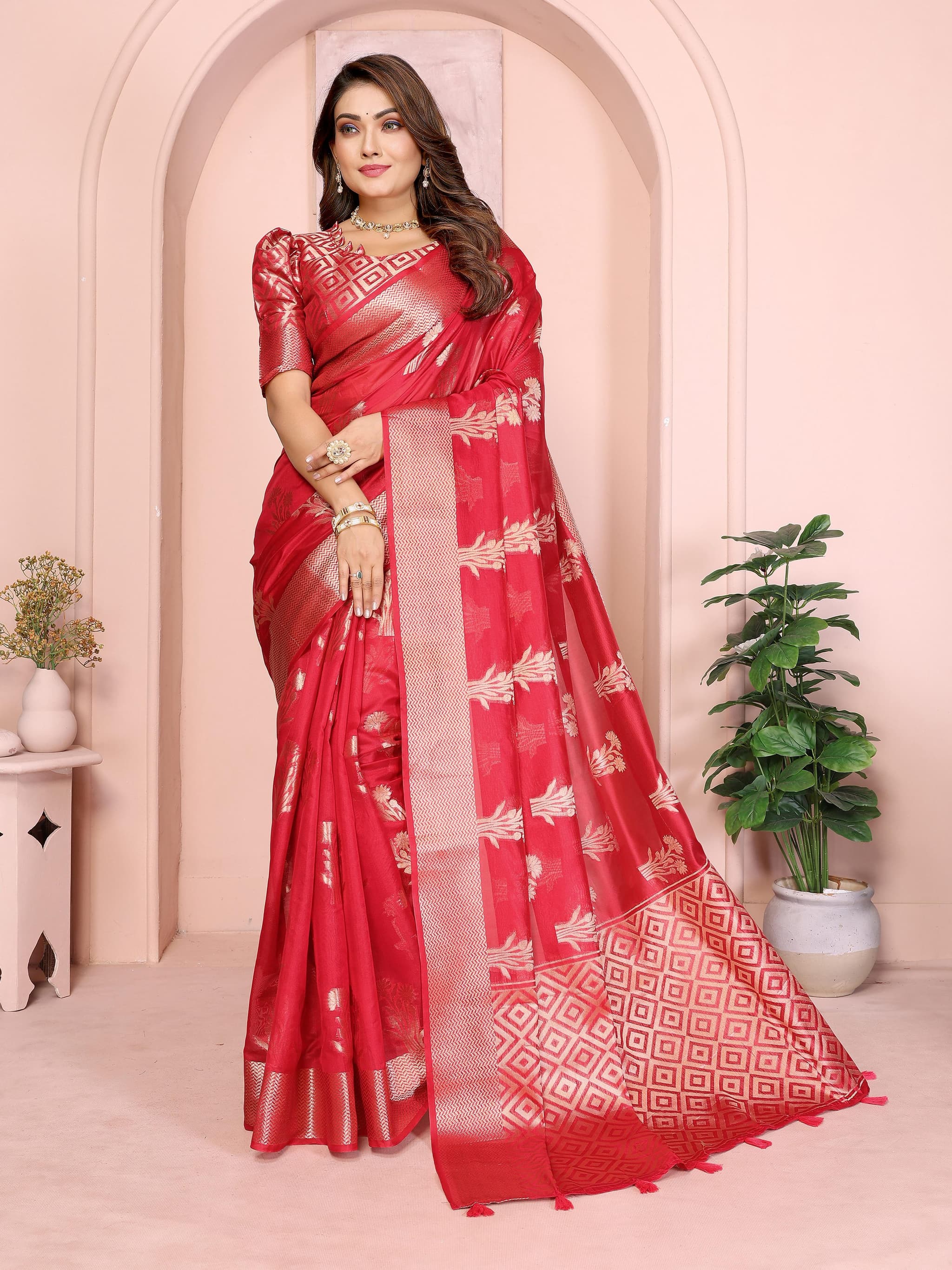 Red Soft Banarasi Organza Silk Saree